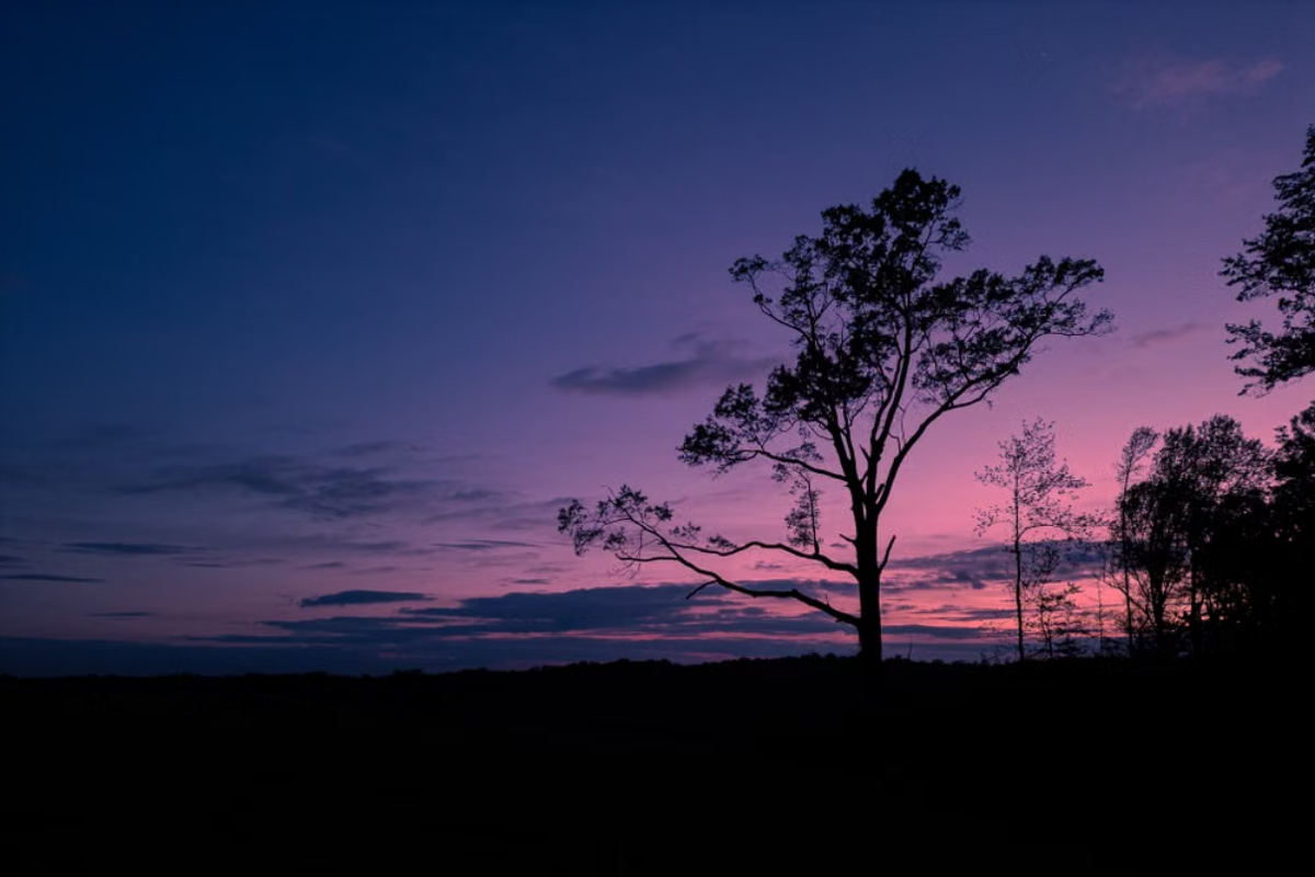 Why Summer Nights Feel Harder to Sleep — and How to Fix It