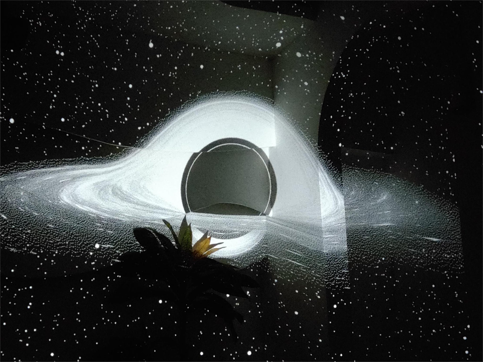 The black hole projection effect