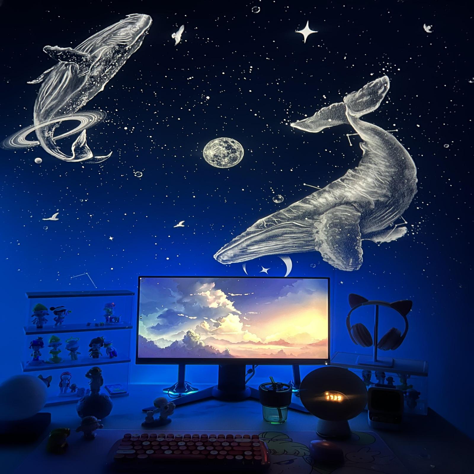 Whale's Dance - Disques de projecteur POCOCO Galaxy | 1 pièce 