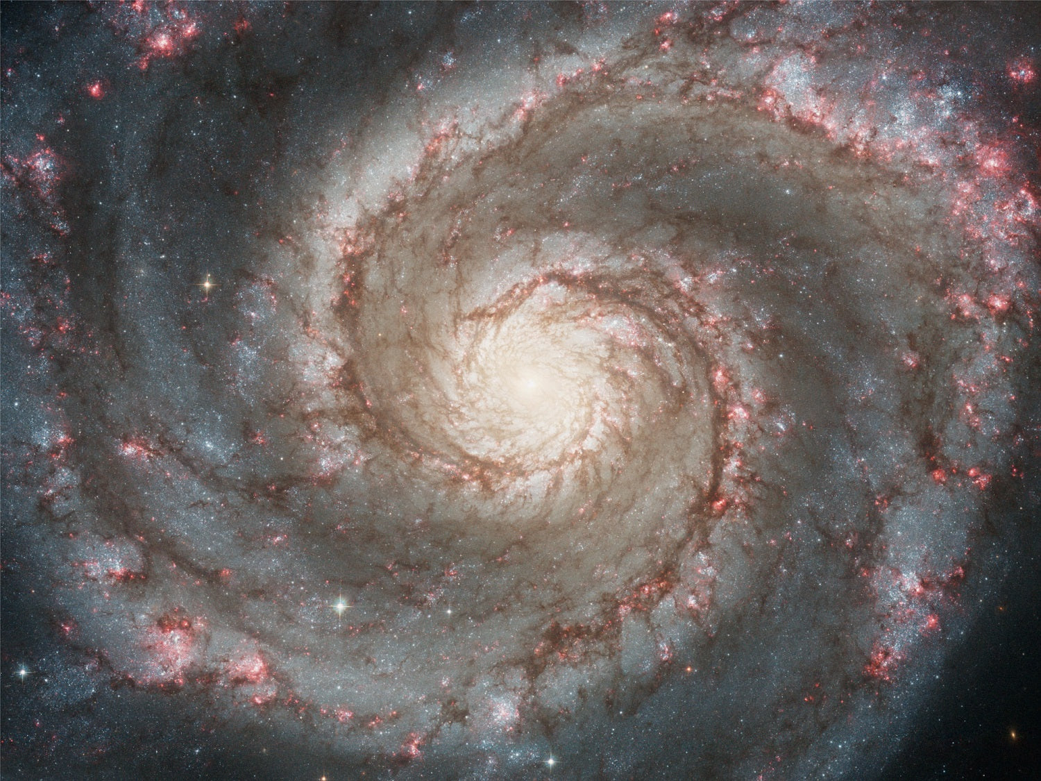 POCOCO Galaxy Projector disc - Whirlpool Galaxies