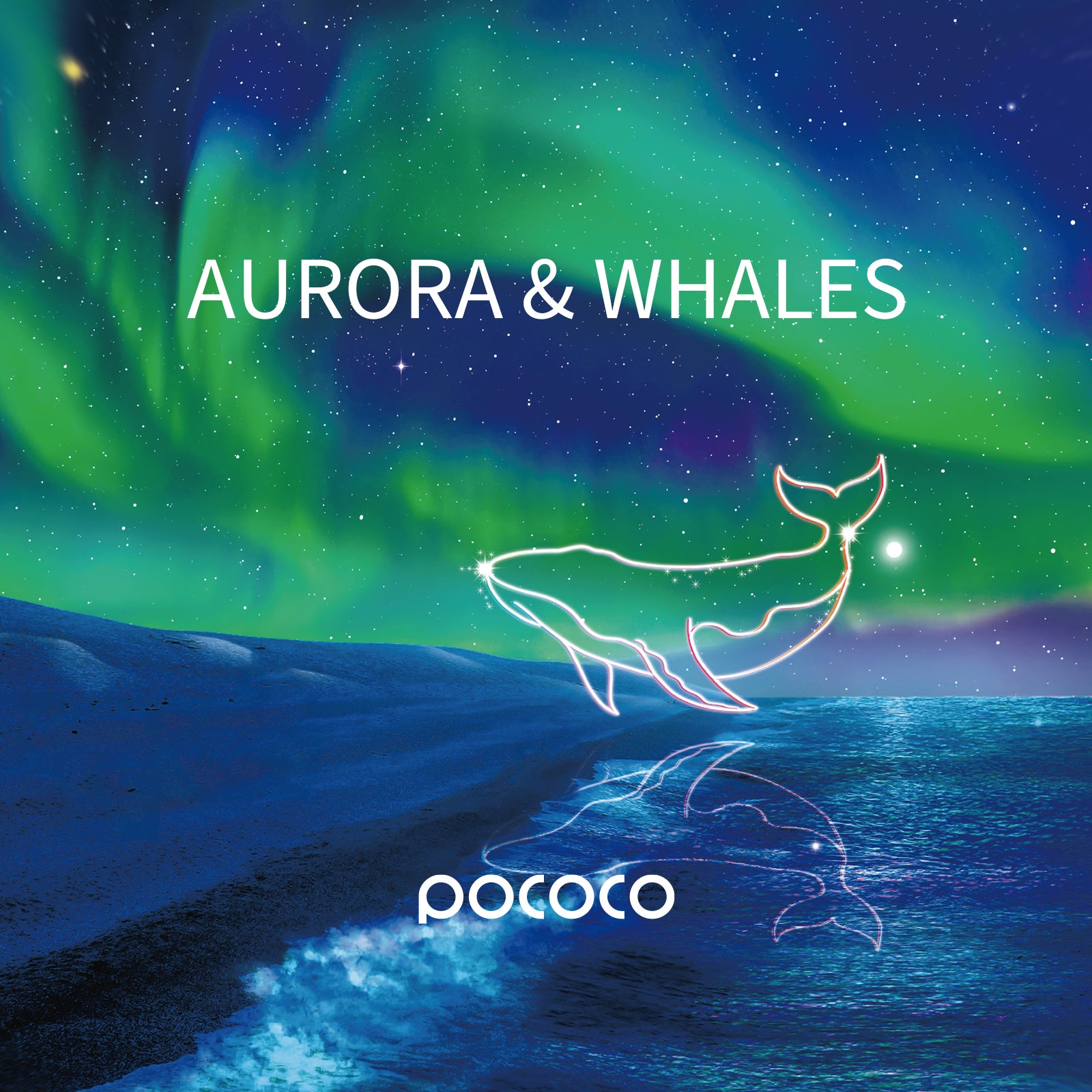 POCOCO Galaxy Projector Disc - Aurora&Whales