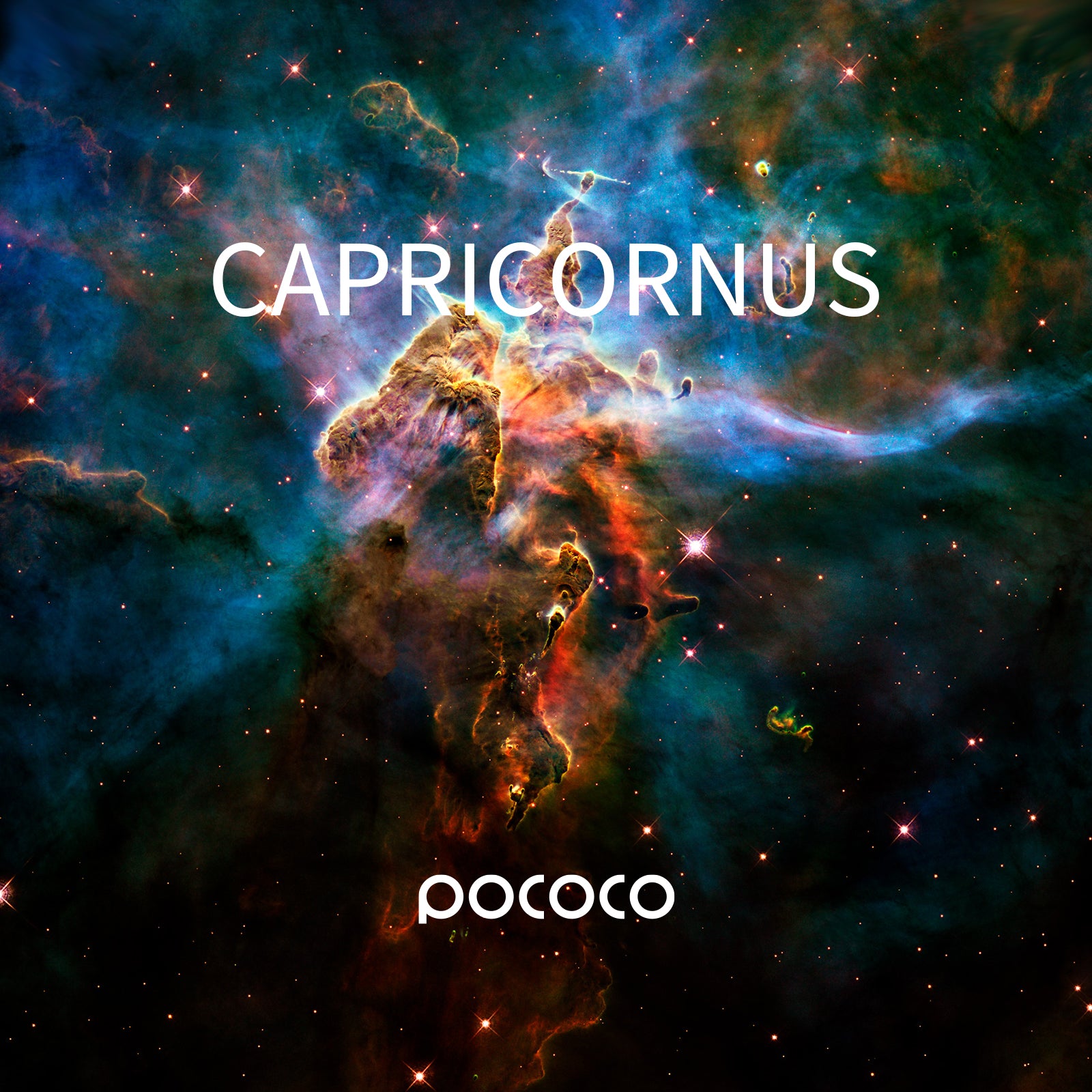 POCOCO Galaxy Projector Disc - Capricornus