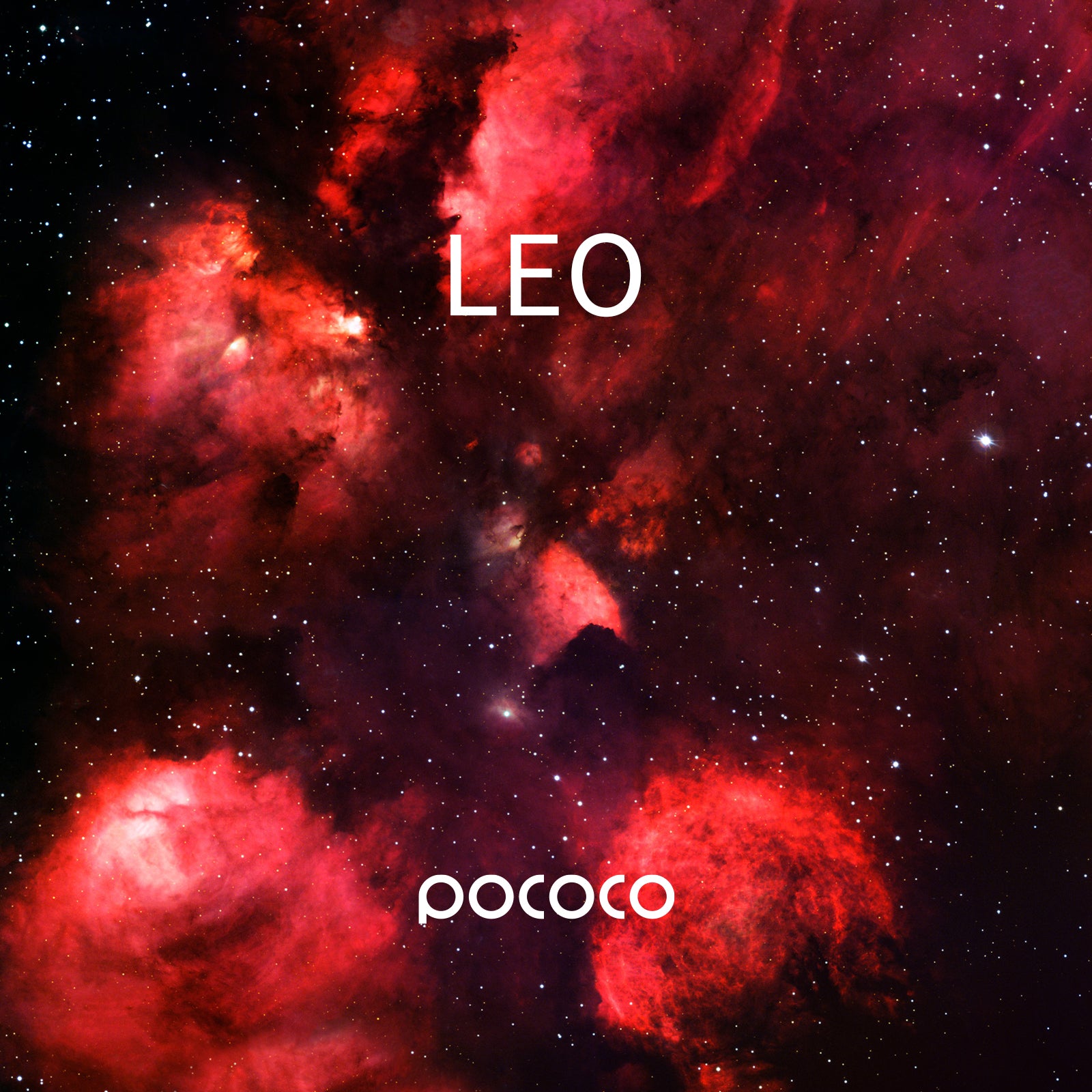 POCOCO Galaxy Projector Disc - Leo