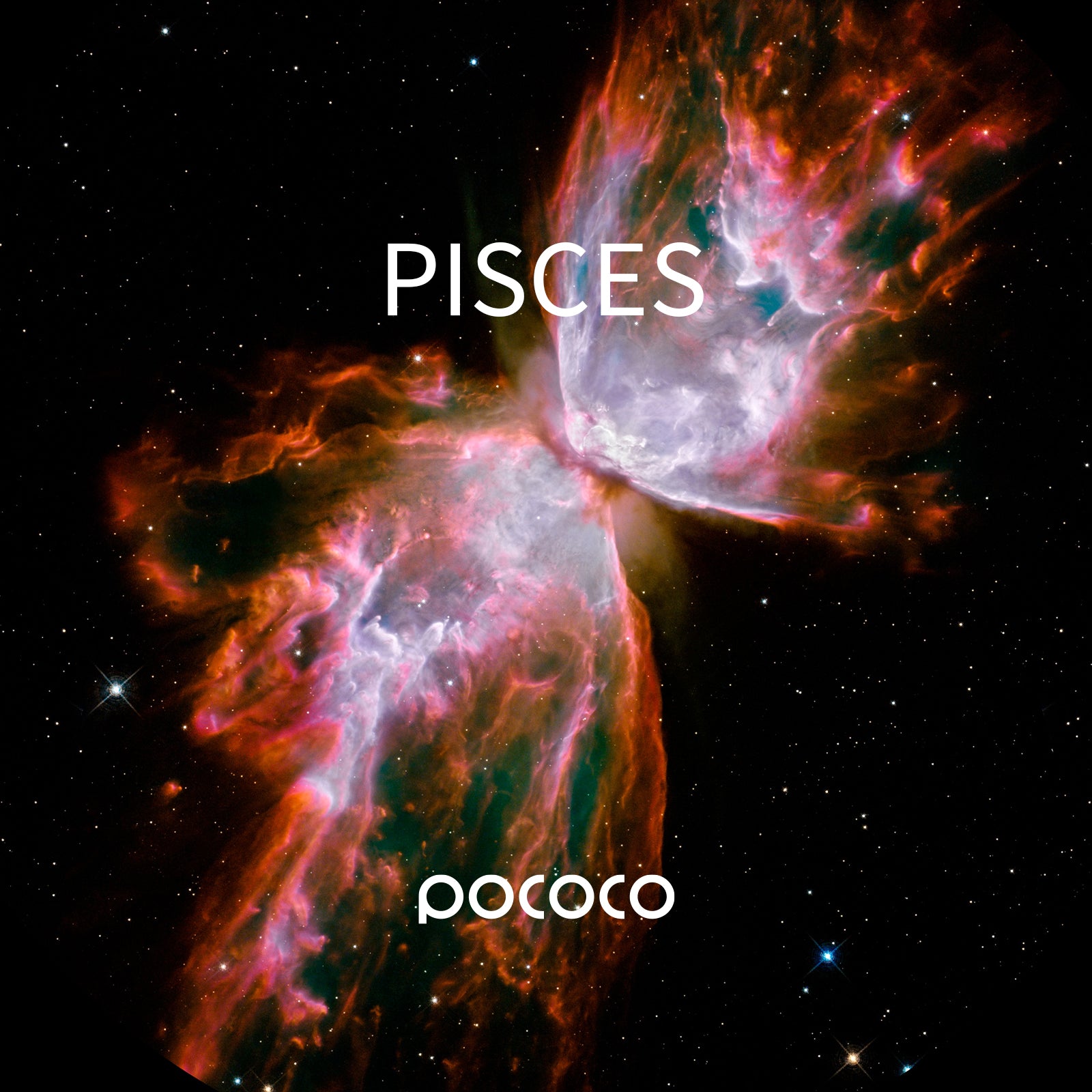 POCOCO Galaxy Projector Disc - Pisces