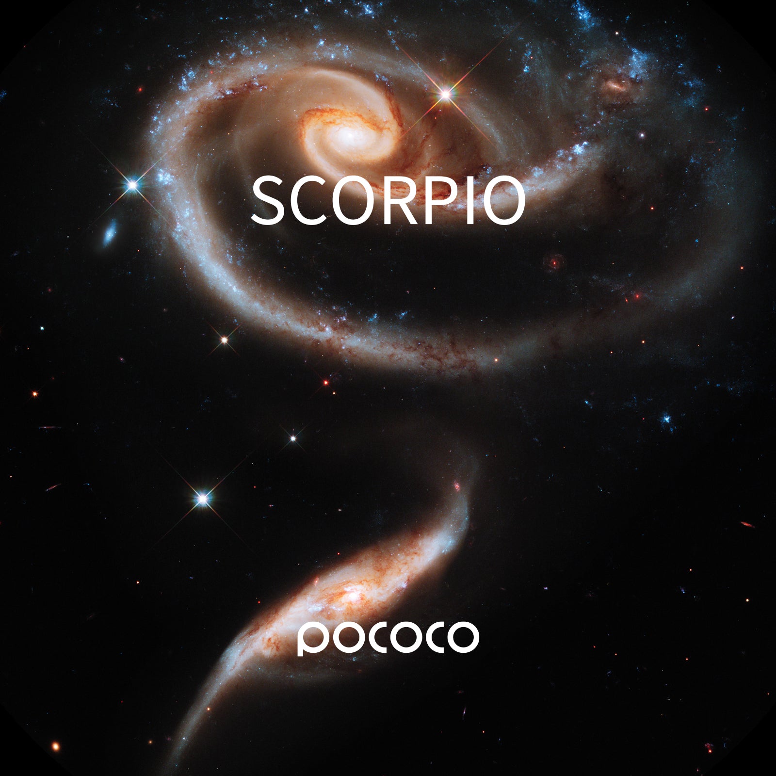 POCOCO Galaxy Projector Disc - Scorpio