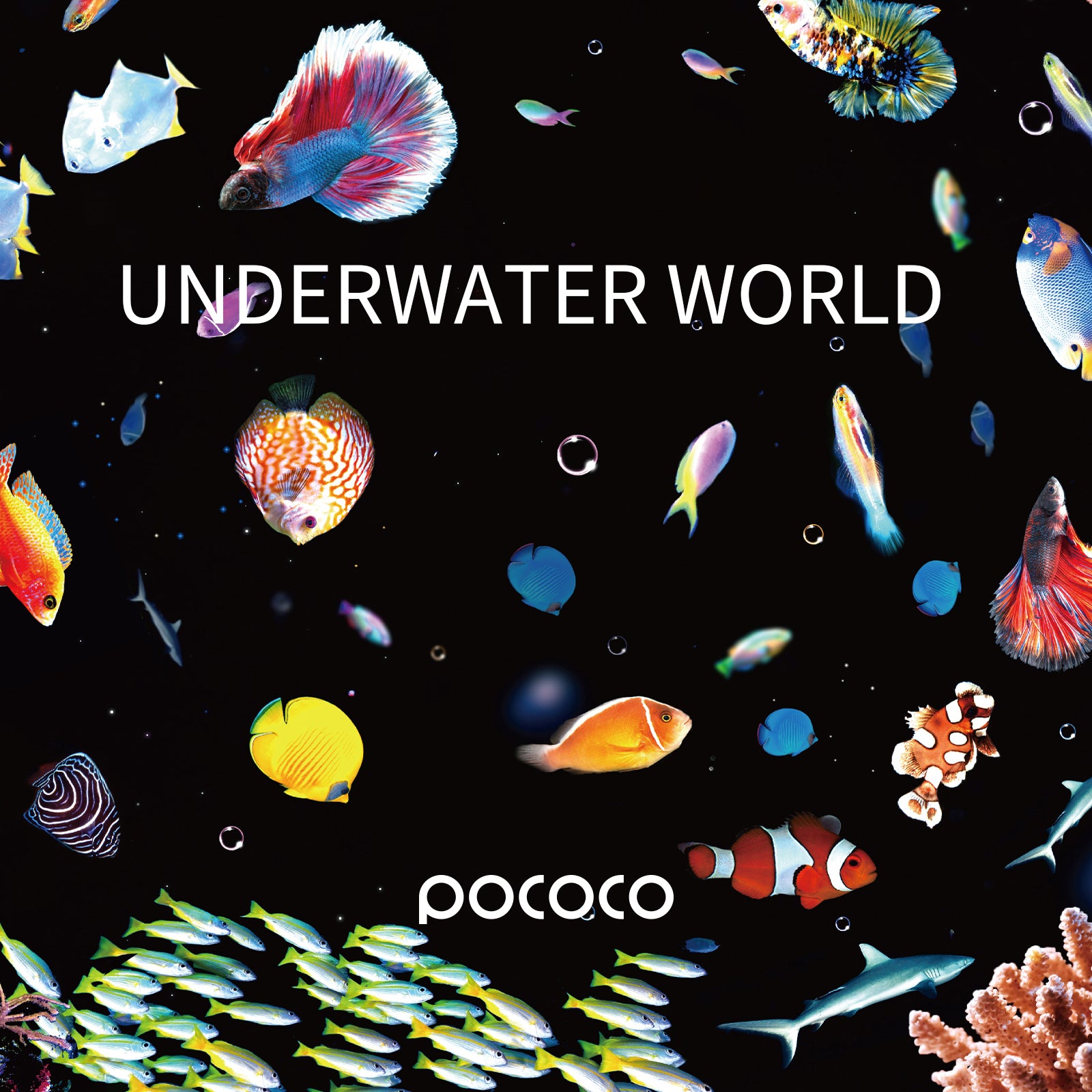 POCOCO Galaxy Projector Disc - Underwater World